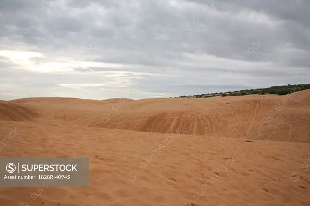 Sand Dunes, Mui Ne, Binh Thuan Province, Vietnam   