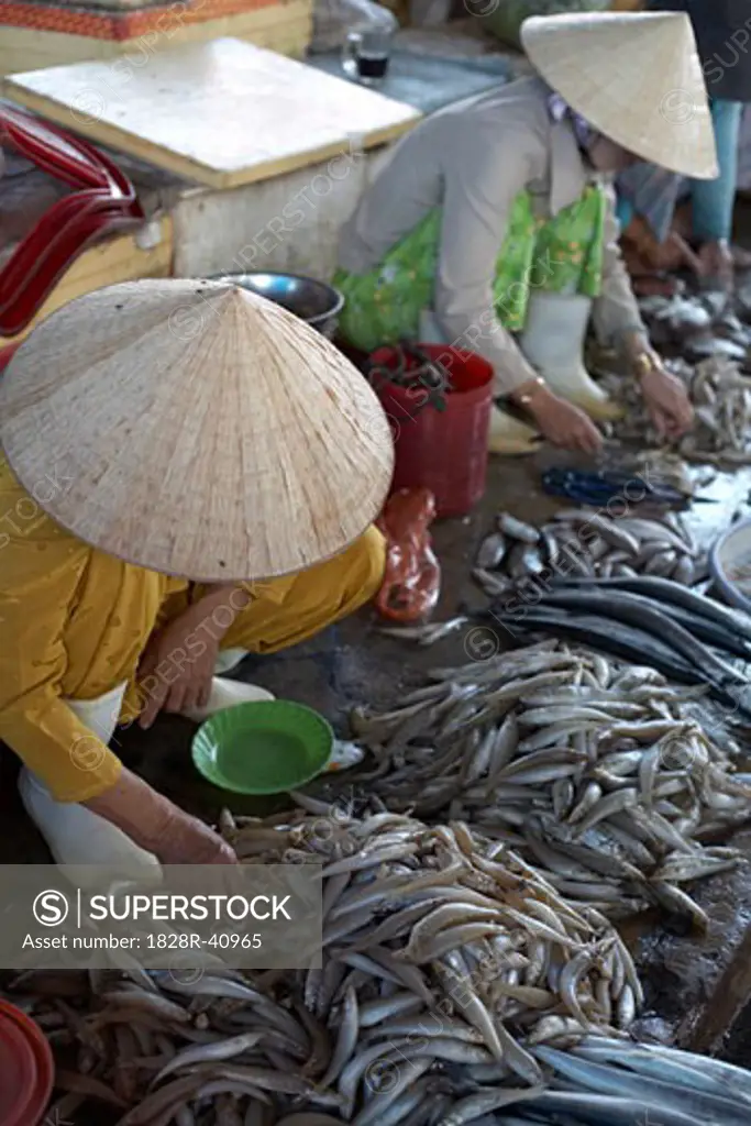 Selling Fish, Duong Dong Market, Duong Dong, Phu Quoc, Vietnam   
