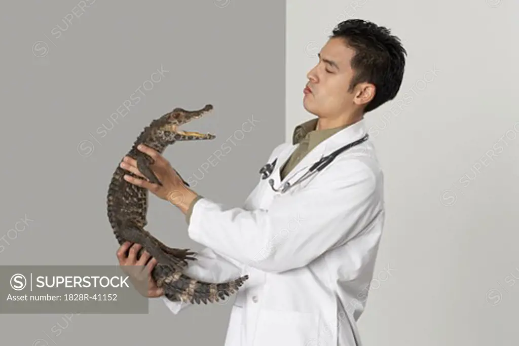 Veterinarian Holding Alligator   