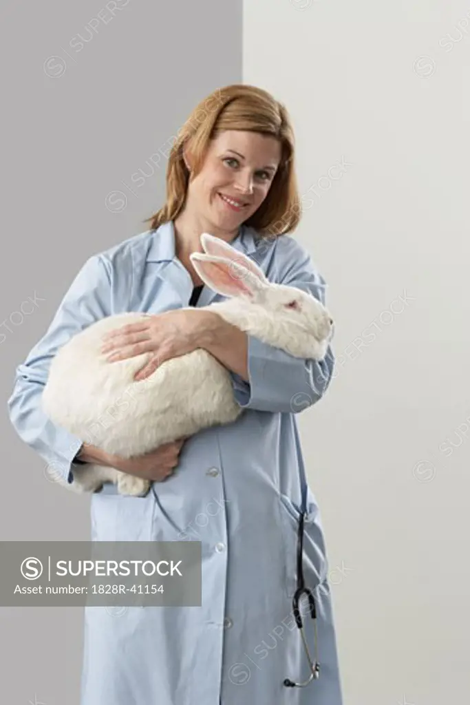 Veterinarian Holding Giant Rabbit   
