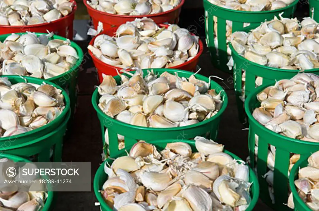 Containers of Garlic for Sale   