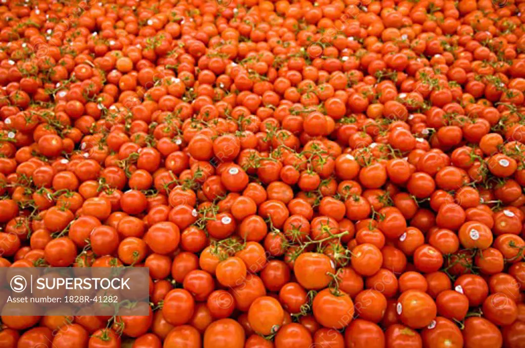 Tomatoes at Fruit and Vegetable Market   