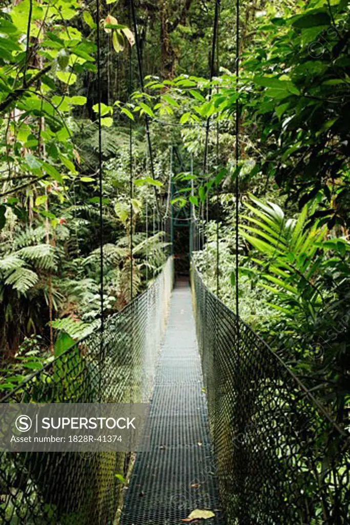 Footbridge in Rainforest, La Paz Waterfall Gardens, Cordillera Central, Costa Rica   
