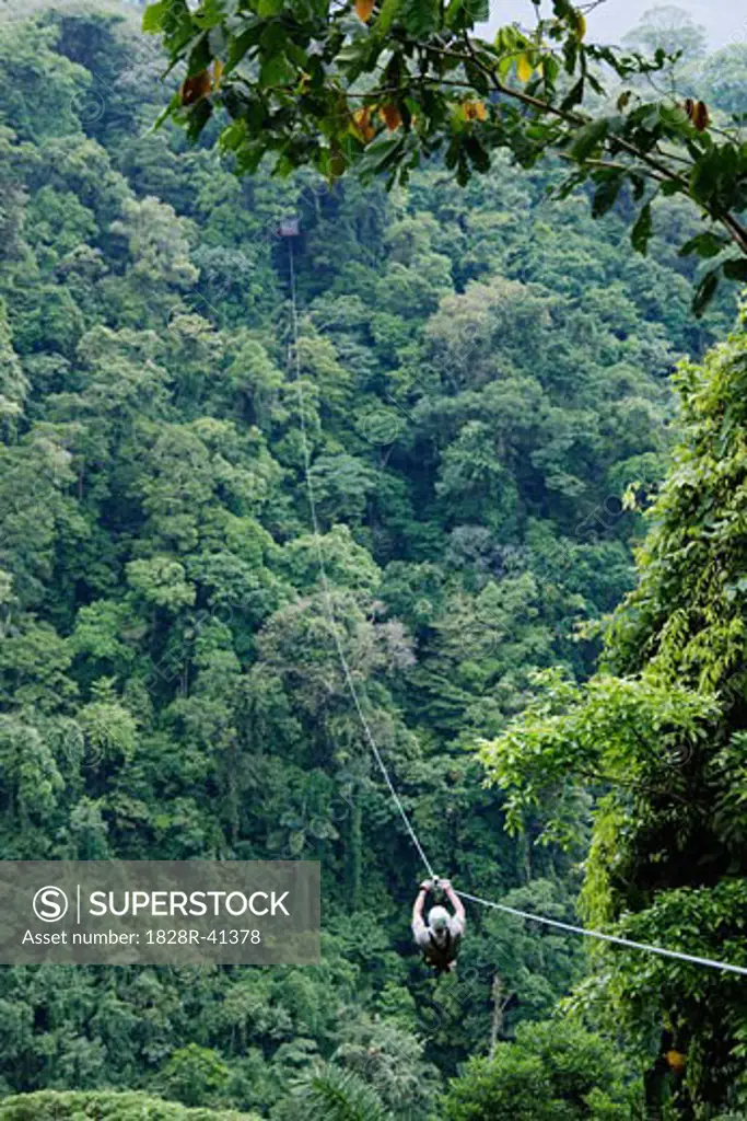 Tourist Descending on Zip Line, Costa Rica   