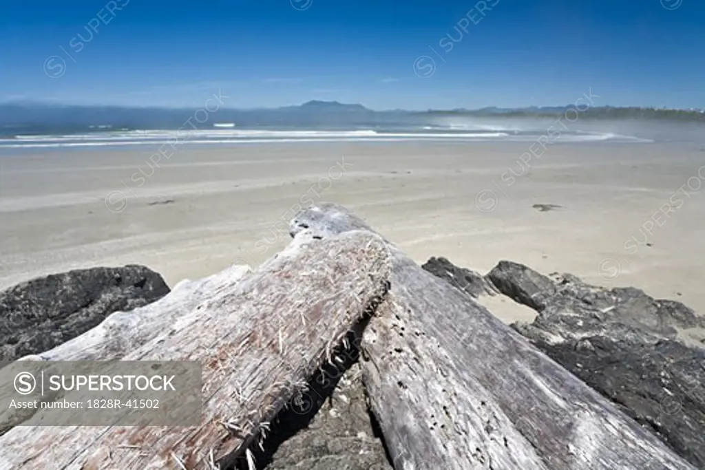 Driftwood on Beach, Long Beach, Pacific Rim National Park, Vancouver ISland, British Columbia, Canada   