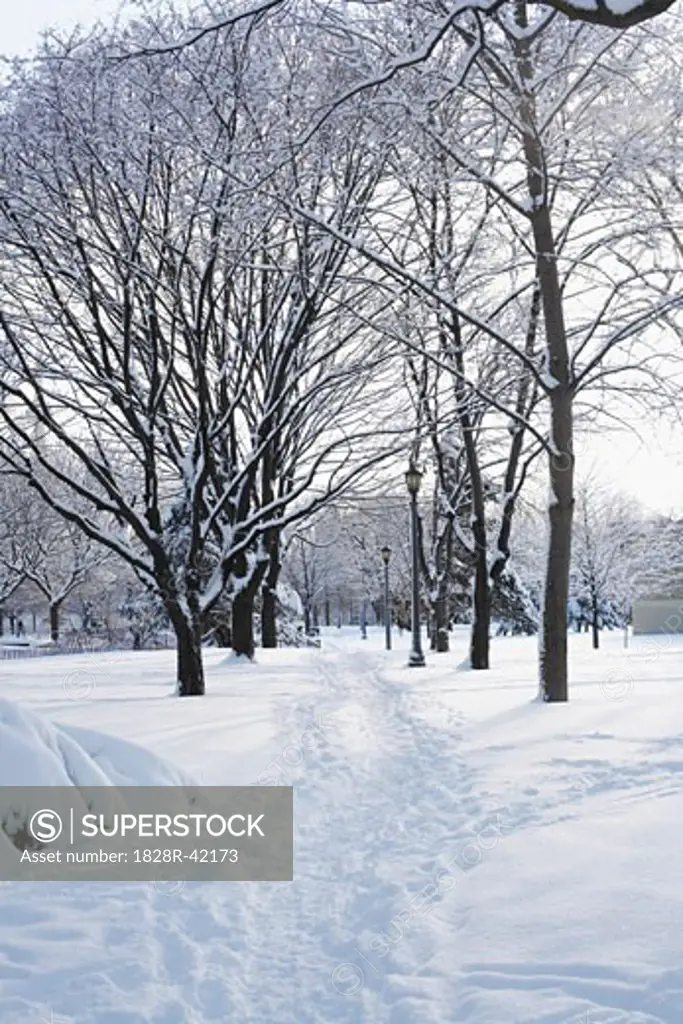 Snow Covered Path in Park   