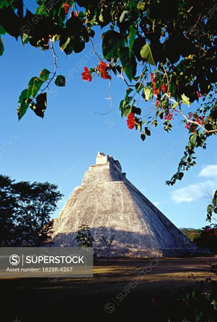 Pyramid of the Magician Uxmal Ruins, Yucatan, Mexico   