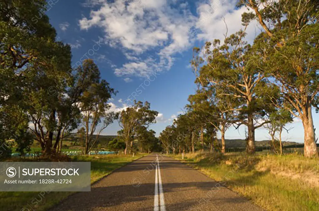 Rural Road, Glenaladale, Victoria, Australia   