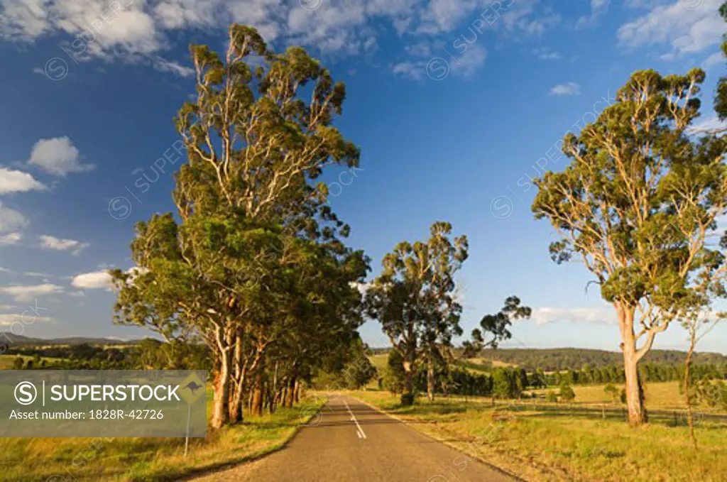 Rural Road, Glenaladale, Victoria, Australia   