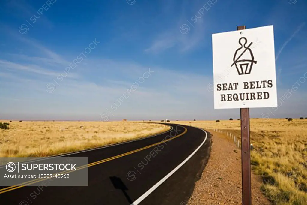Seat Belt Sign on Curved Road   