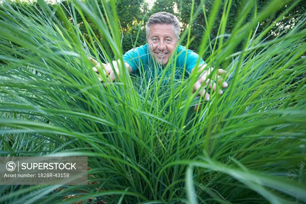 Man Looking Through Overgrown Grass   