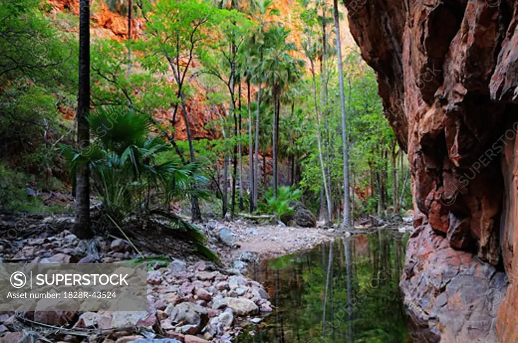 El Questro Gorge, Kimberley, Western Australia, Australia   
