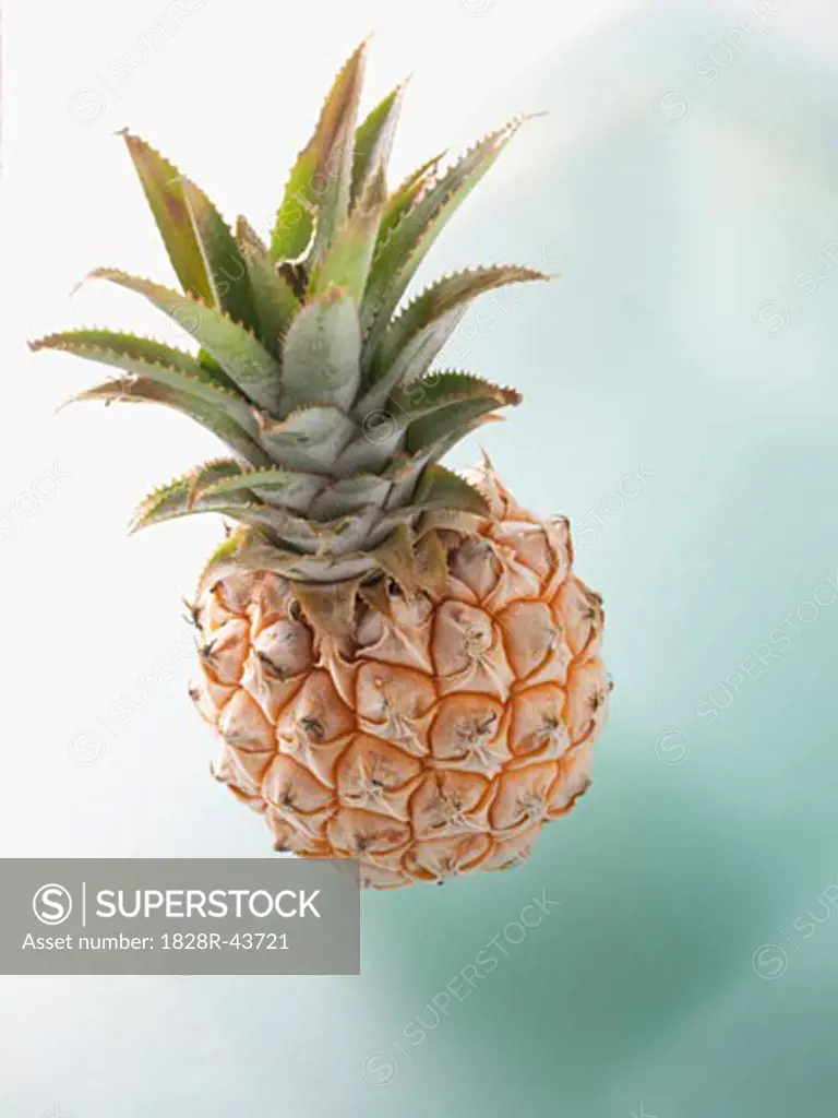 Pineapple   