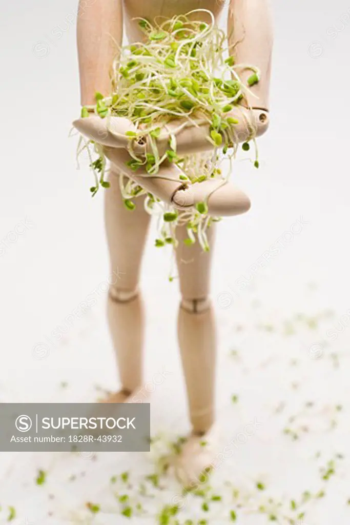 Wooden Mannequin Holding Alfalfa Sprouts   