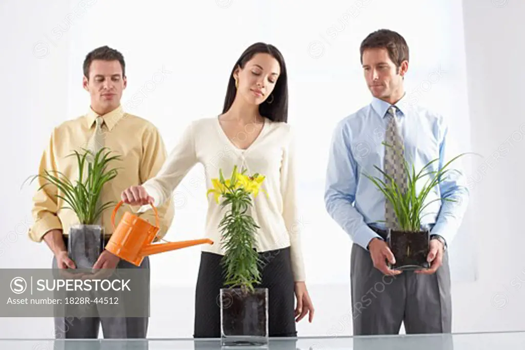 Businesspeople and Plants   