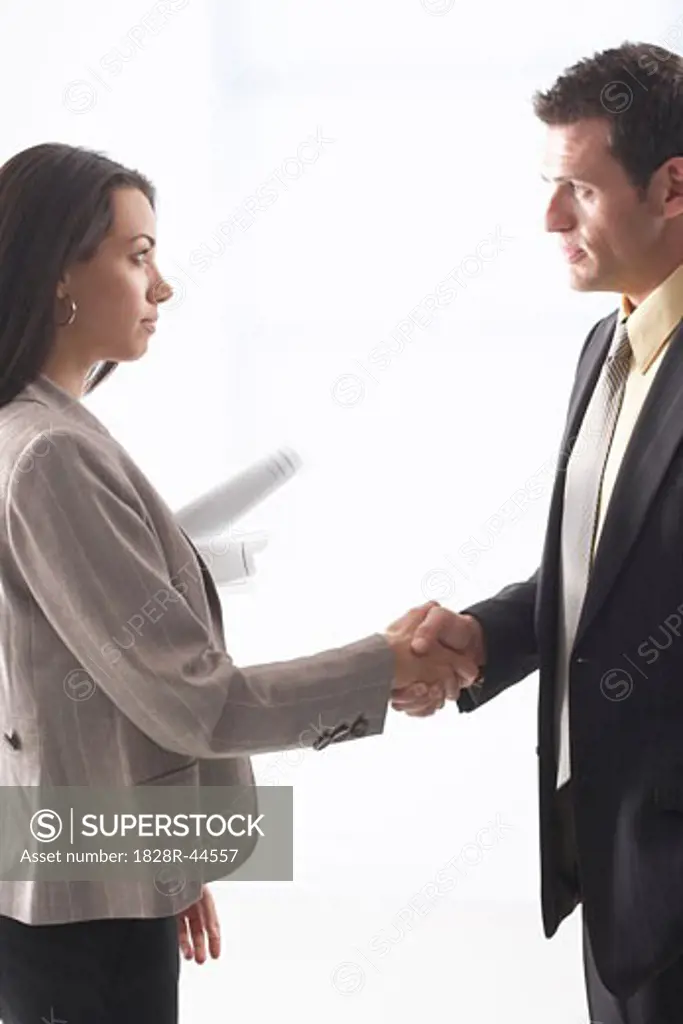 Business People Shaking Hands   