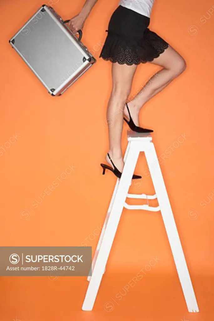 Woman Standing on Ladder   