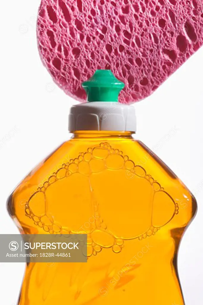 Liquid Dish Soap and Sponge   