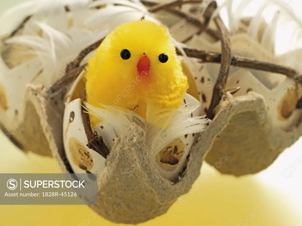 Easter Chick in Broken Eggshell   