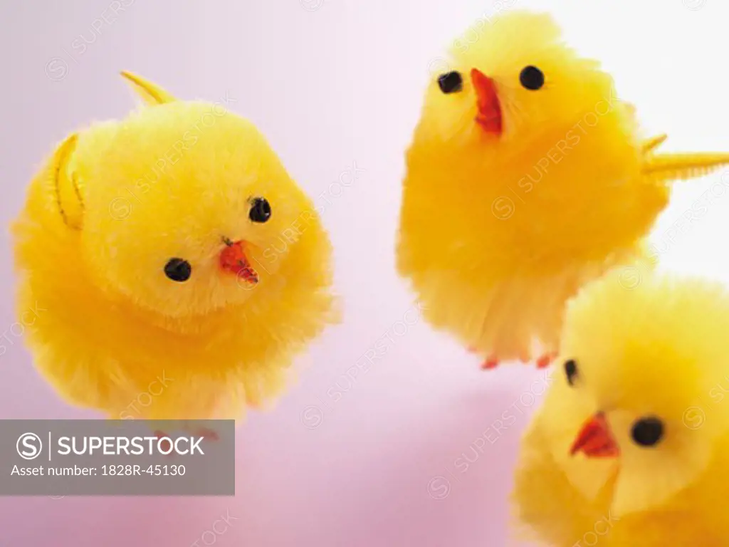 Three Easter Chicks   