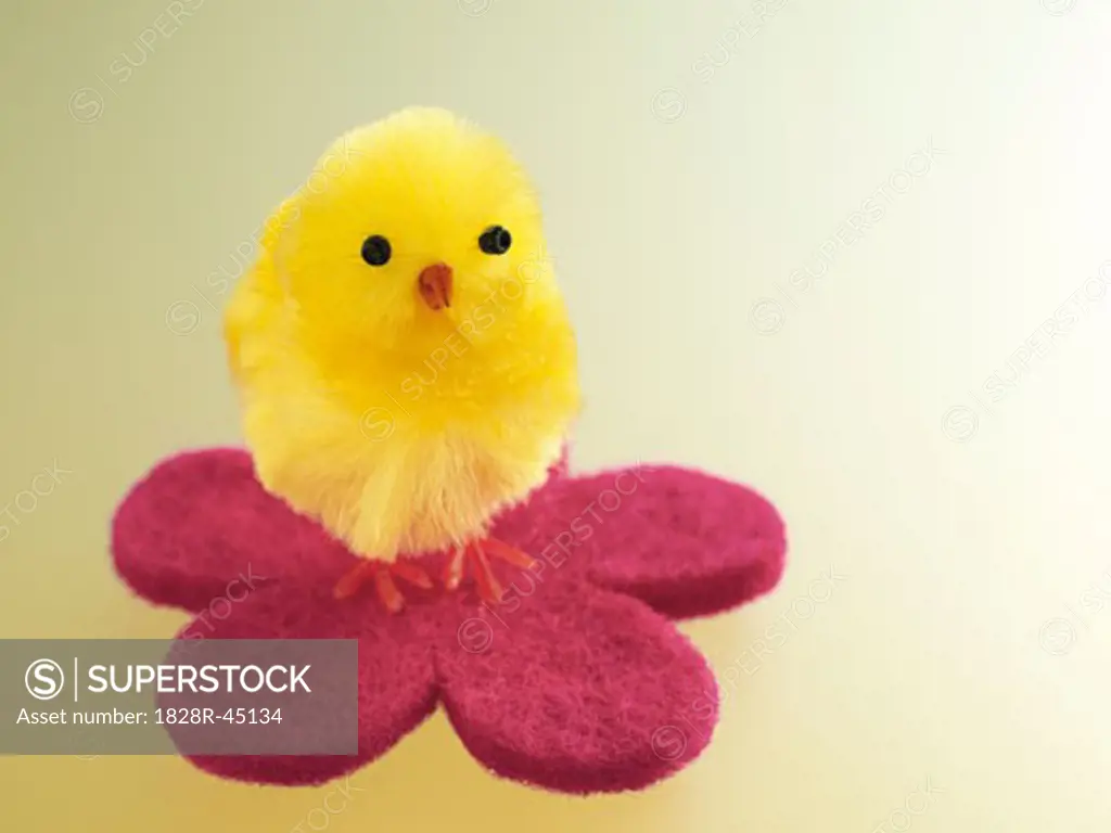 Yellow Easter Chick   