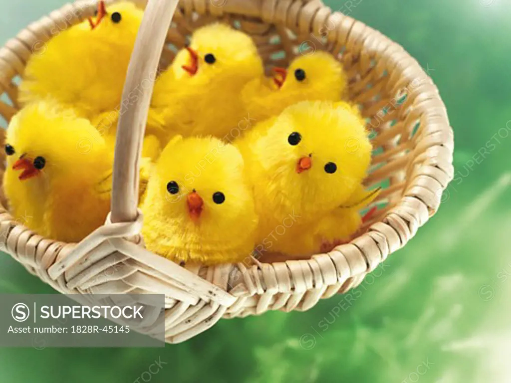Easter Chicks in Basket   