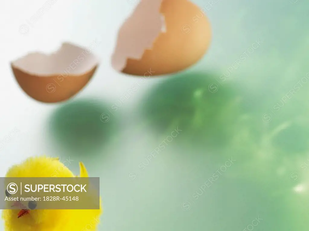 Easter Chick With Broken Eggshell   