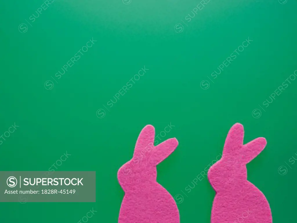 Two Pink Easter Bunnies Sponges   