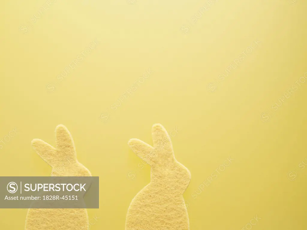 Two Yellow Easter Bunnies Sponges on a Yellow Background   