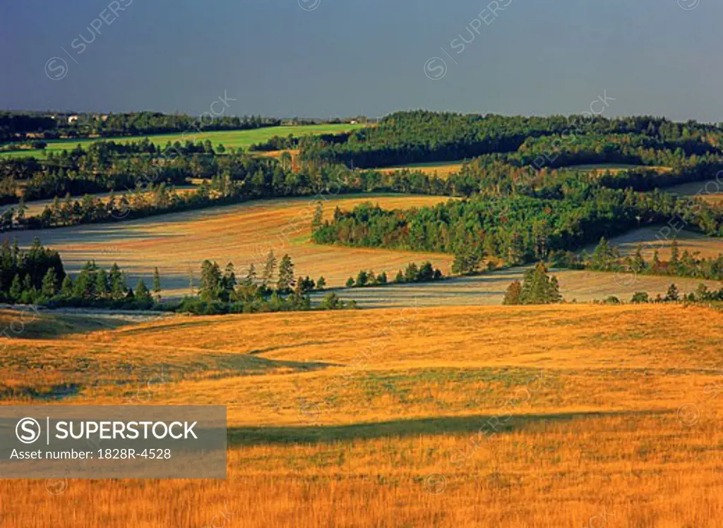 Overview of Landscape and Trees Near New Glasgow, Prince Edward Island, Canada   