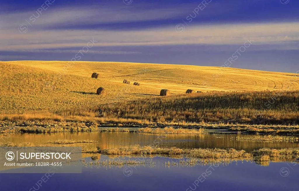 Hay Bales in Field at Sunrise, Near Estevan, Saskatchewan, Canada   
