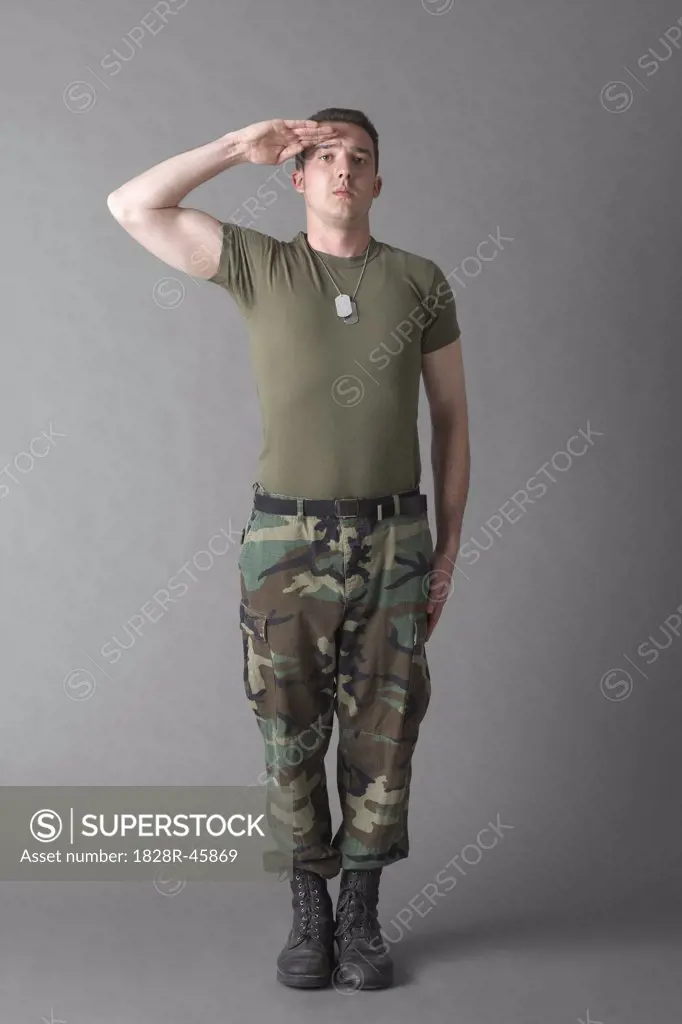 Soldier at Attention   