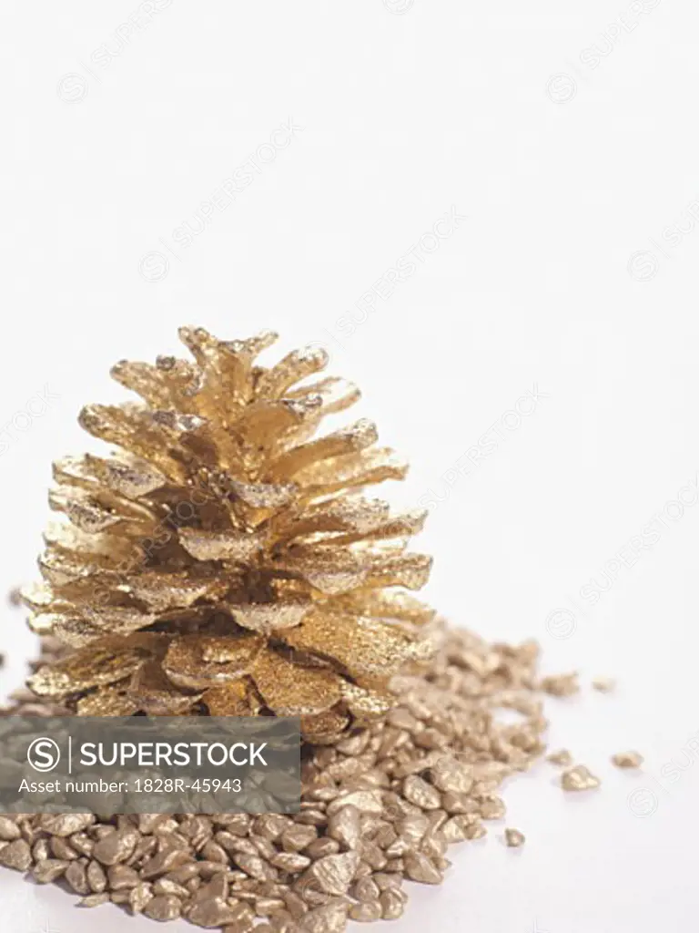 Golden Pine Cone   