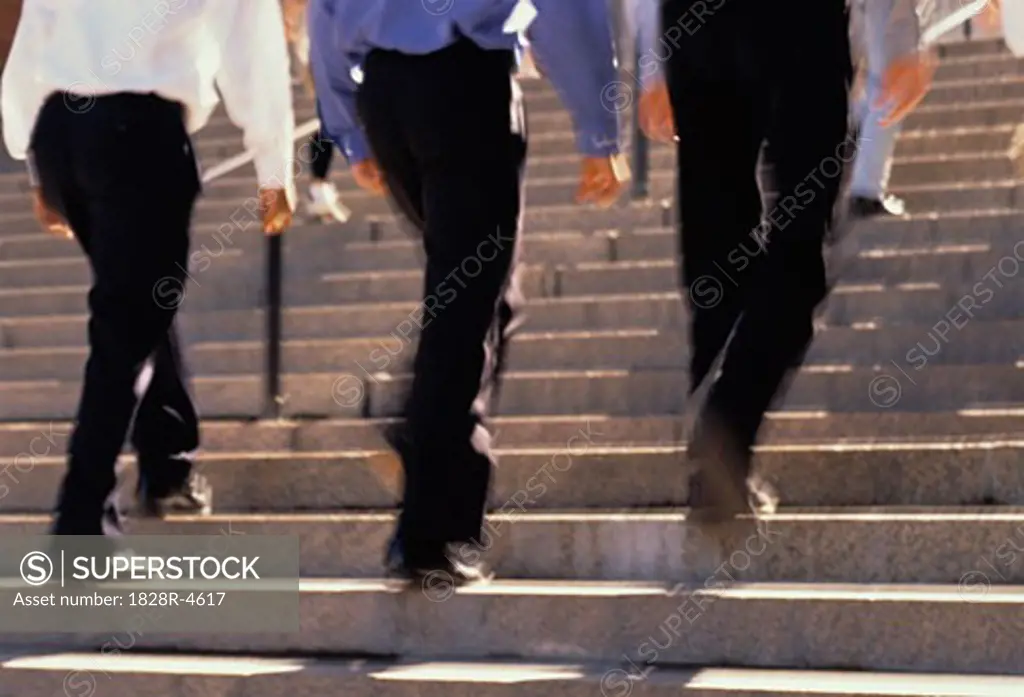 Back View of Businessmen Walking Up Steps Outdoors   
