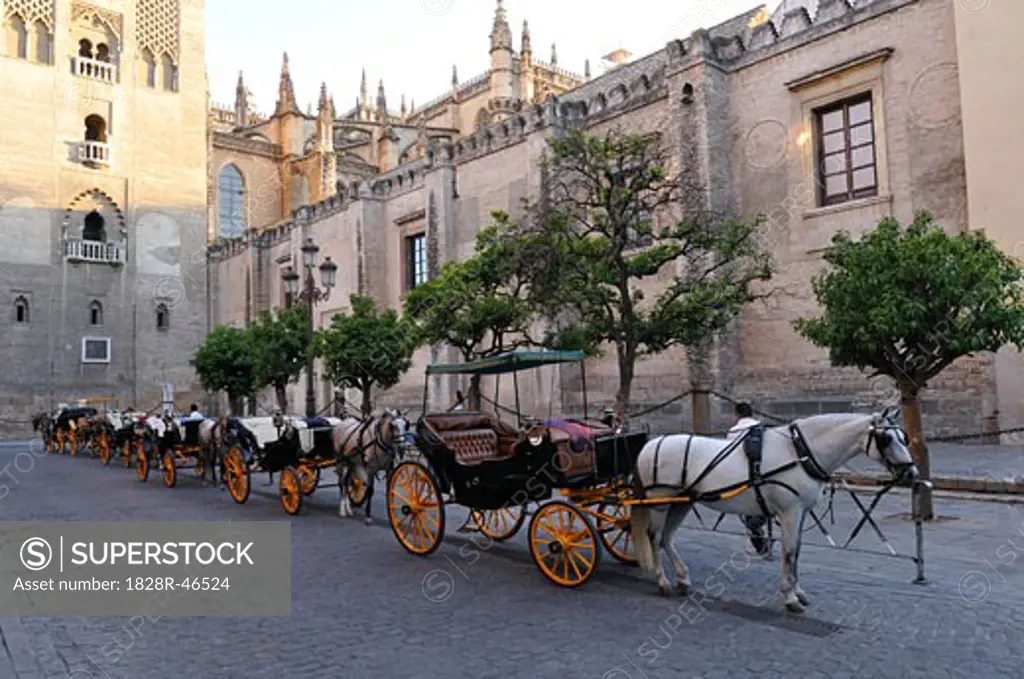 Horses and Buggies on Street, Seville, Spain   