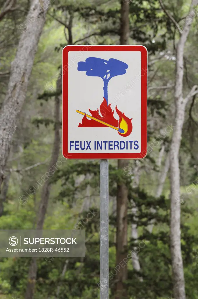 Forest Fire Warning Sign   