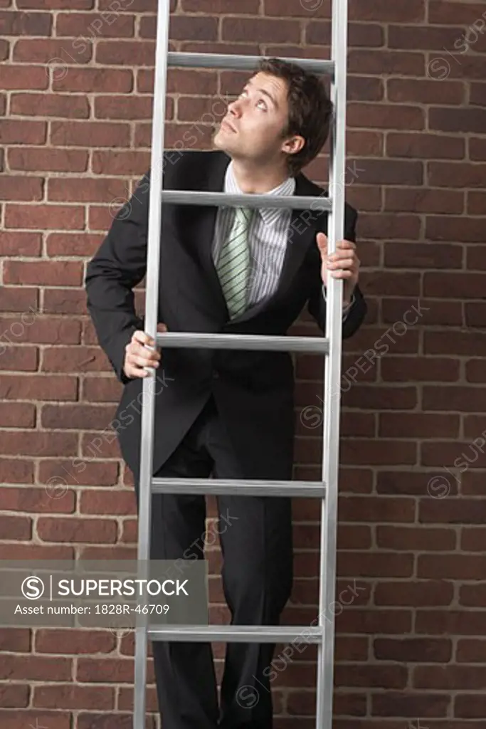 Businessman on Ladder   