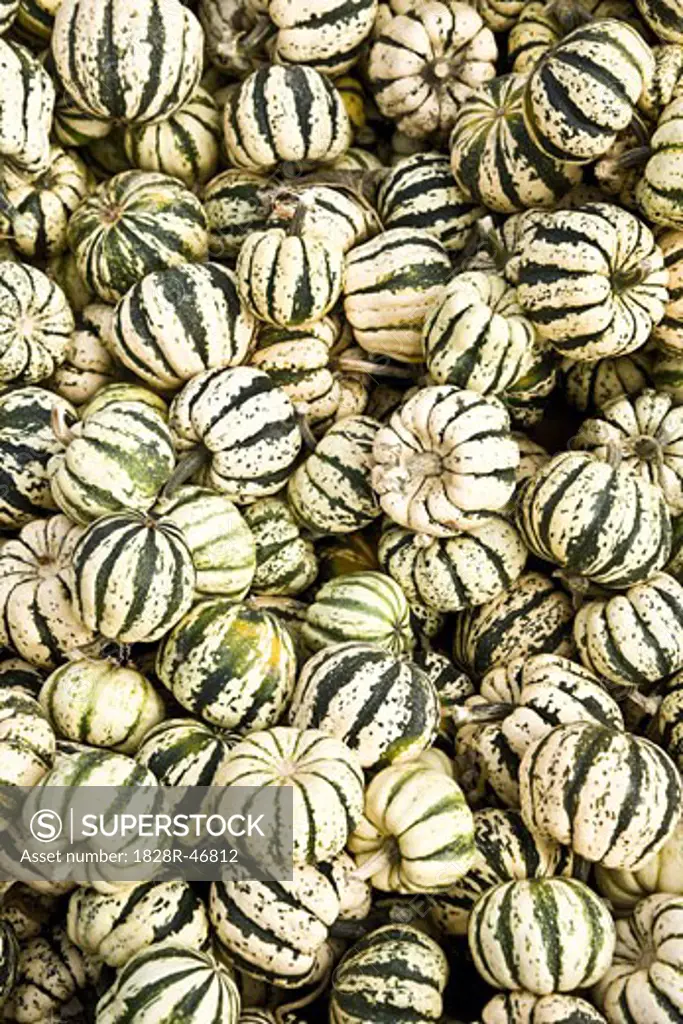 Pile of Gourds   