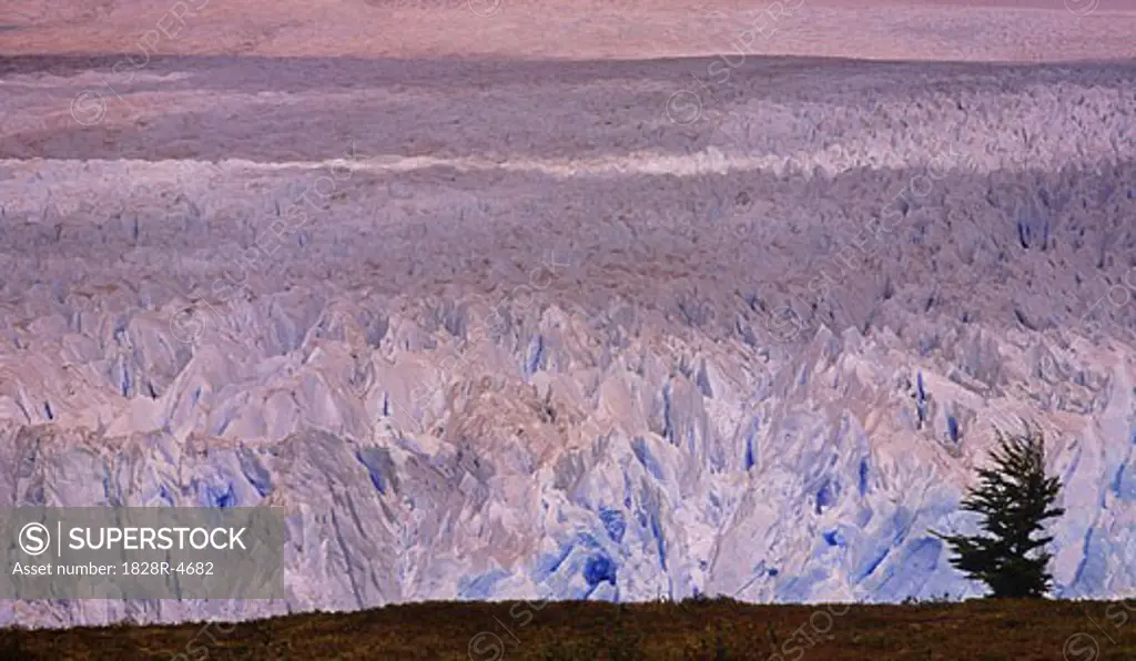 Overview of Perito Moreno Glacier, Los Glaciares National Park, Patagonia, Argentina   