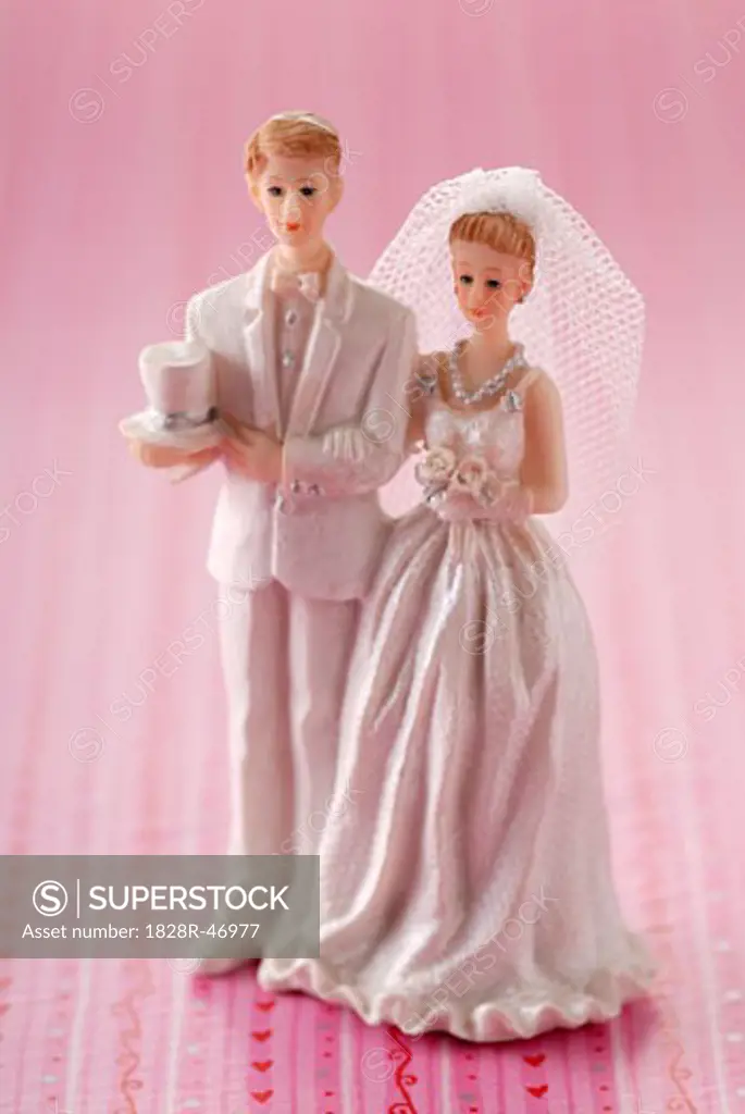 Bride and Groom Cake Topper   