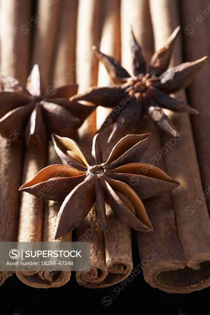 Star Anise and Cinnamon Sticks   