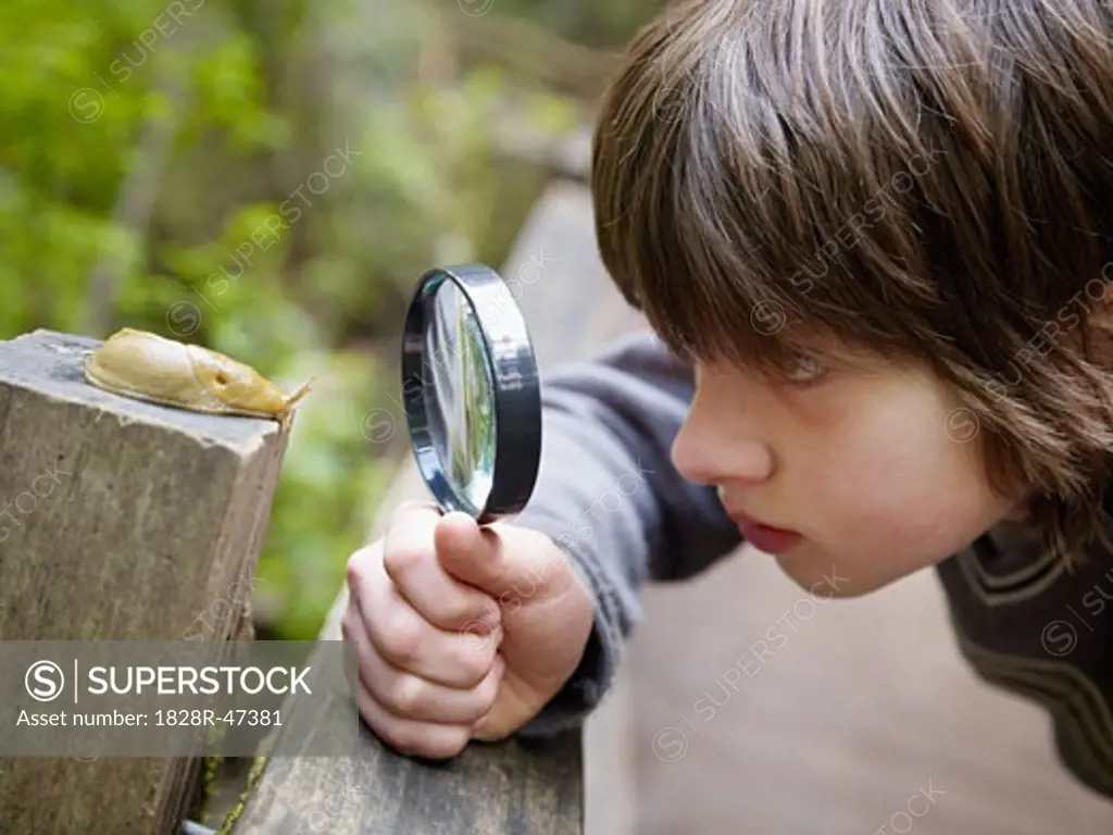 Boy Examining a Banana Slug Through a Magnifying Glass   