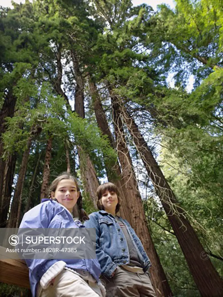 Portrait of Girl and Boy in Front of Giant Redwoods, Muir Woods National Monument, California, USA   