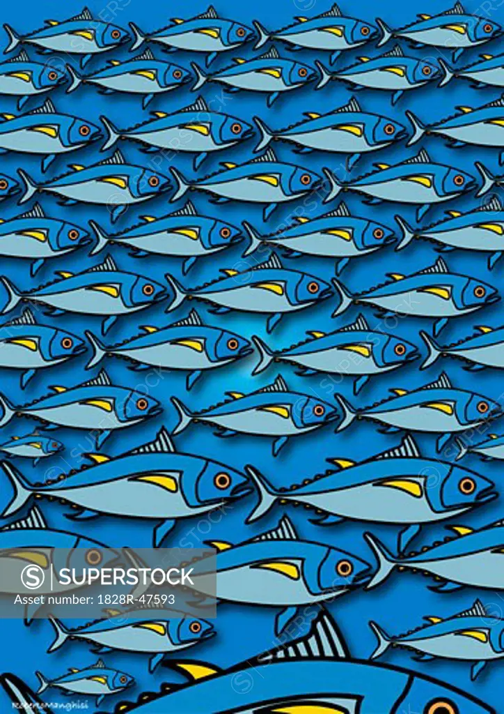 Illustration of School of Blue Fish   