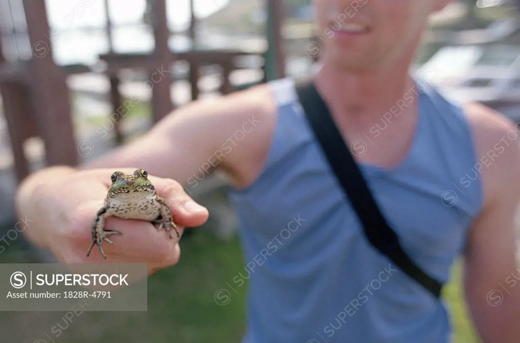 Close-Up of Man Holding Frog in Hand Outdoors   
