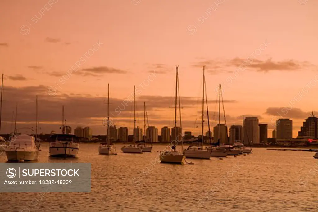 Sailboats at Sunset, Punta del Este, Uruguay   