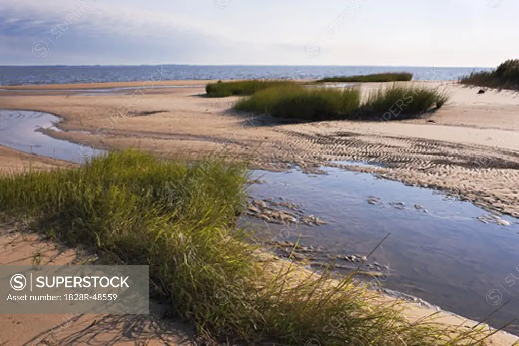 Shoreline with Sand Dunes, Woodland Beach, Delaware   