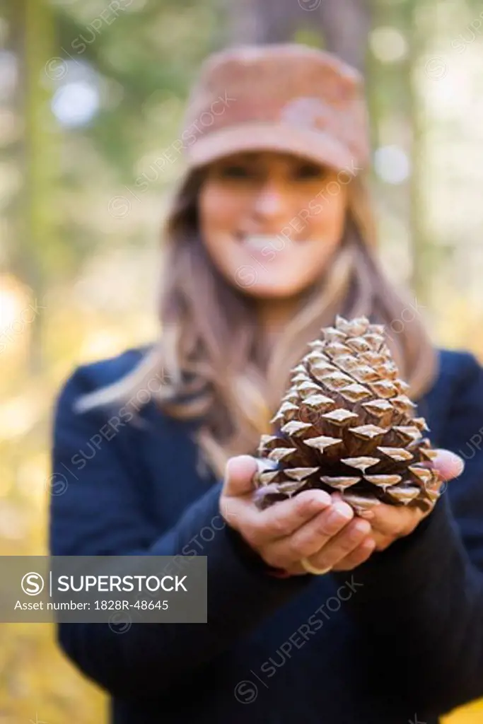 Woman Holding Cone of Ponderosa Pine   
