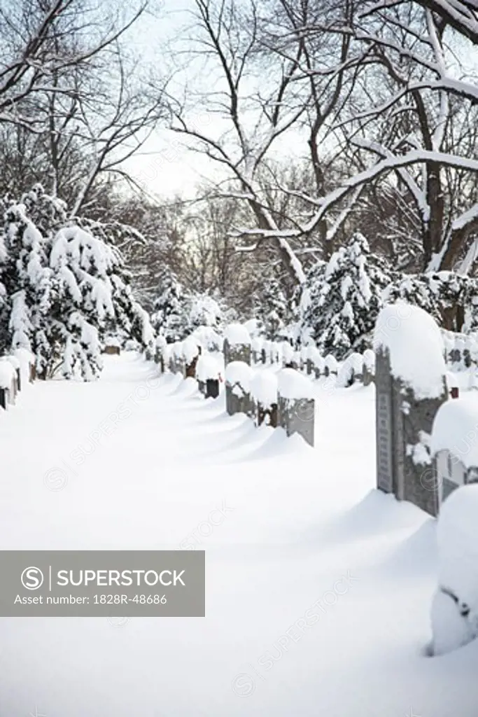 Headstones Covered in Snow, Toronto, Ontario, Canada   