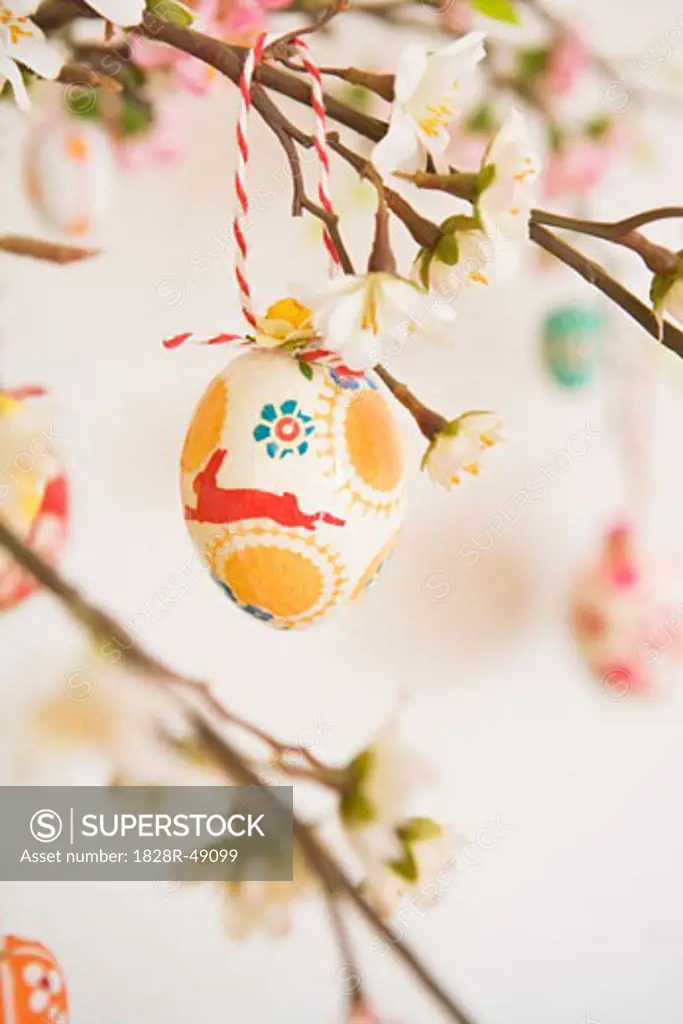 Close-up of Easter Egg Decorations   